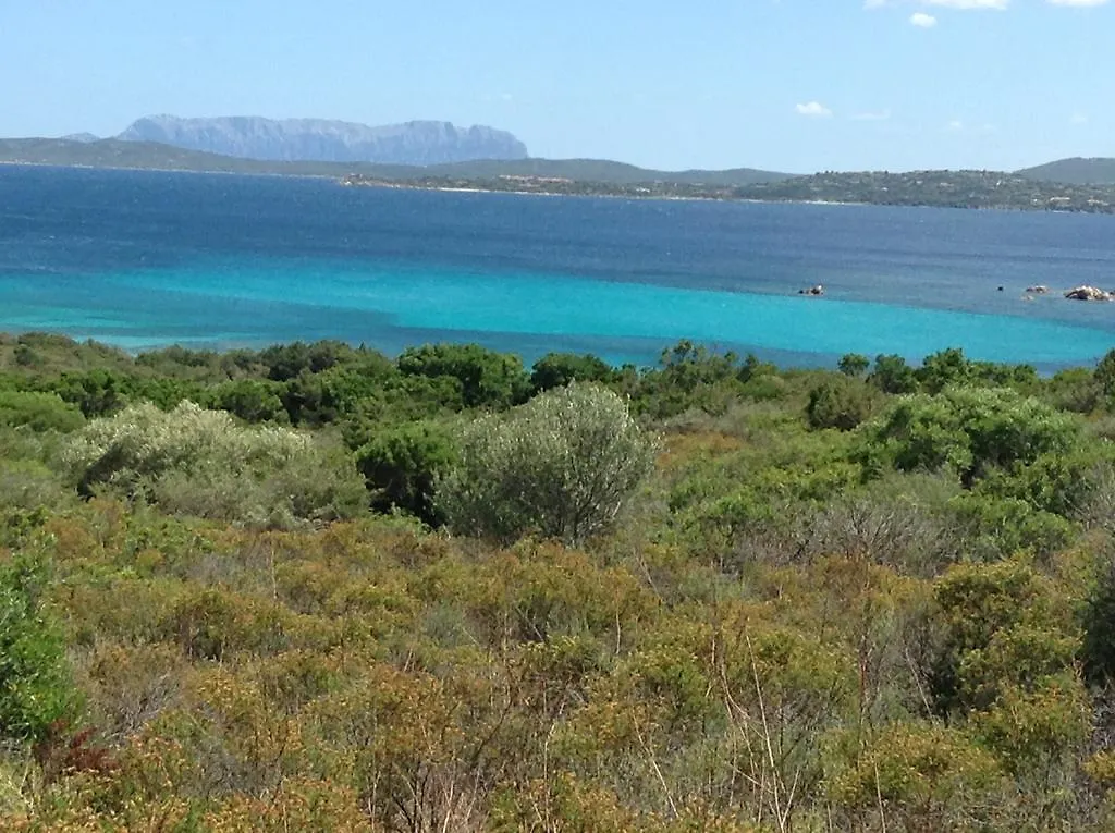 Terrabinu Hotel Olbia 0*,